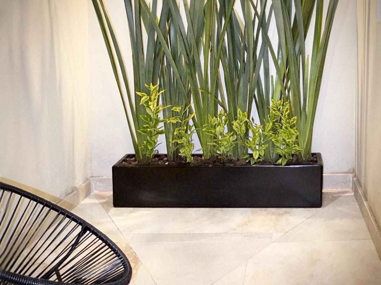Flats Friends Condesa-Pelotari Apartment Mexico City Room photo